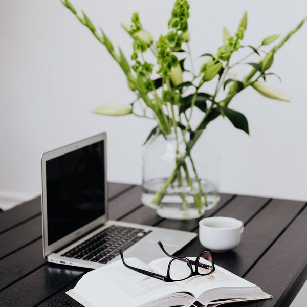 A clean, well-lit, and organized home office workspace with a laptop and a plant.